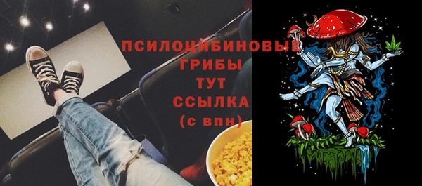 МДПВ Белокуриха